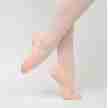 Papillon stretch Canvas balletschoen met Splitzool PA1014-500
